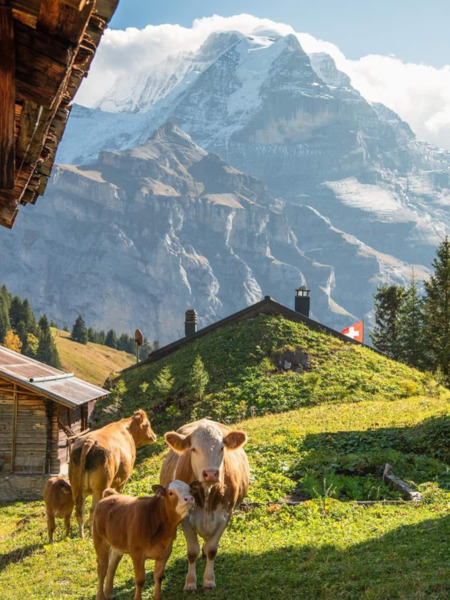 Switzerland